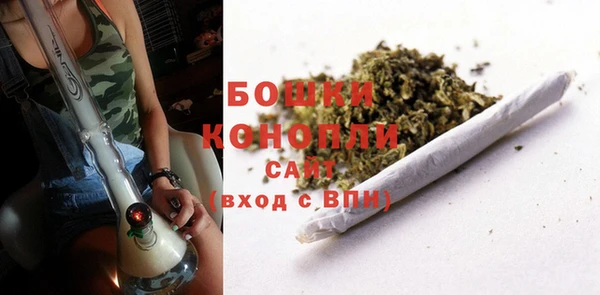 PSILOCYBIN Арсеньев