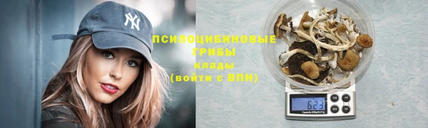 MESCALINE Аркадак