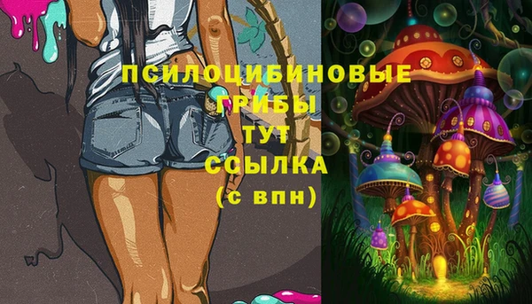 COCAINE Новозыбков