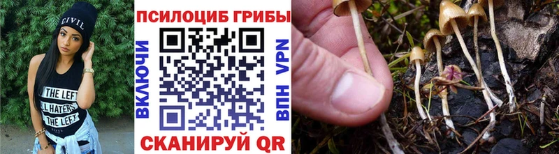Галлюциногенные грибы GOLDEN TEACHER  наркошоп  Старица 