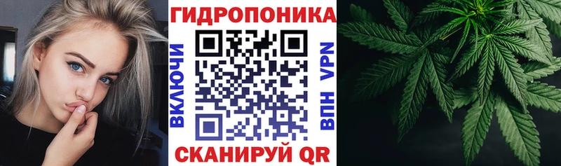где можно купить   Старица  Каннабис тримм 